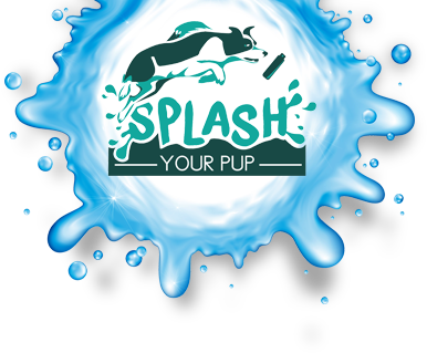 Splash Your Pup